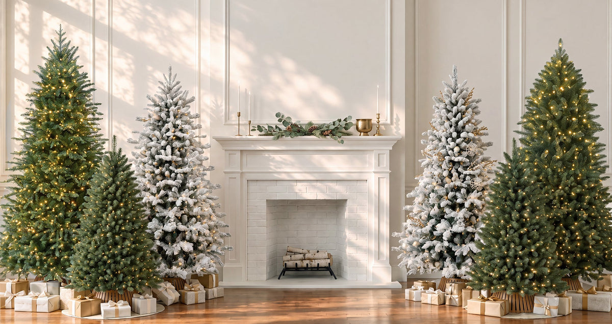 Holly & Pine