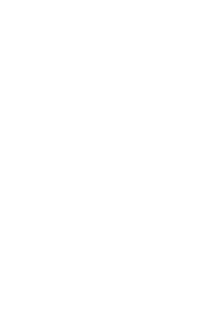 Holly & Pine 